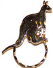 SPEC pin Kangaroo