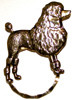 SPEC pin fancy Poodle