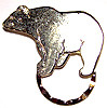 SPEC pin Bear