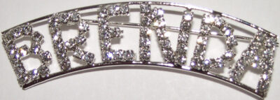 BRENDA crystal  name pin