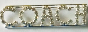 COACH crystal pin