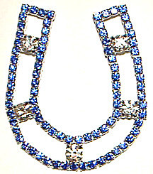 Crystal Horseshoe Pin