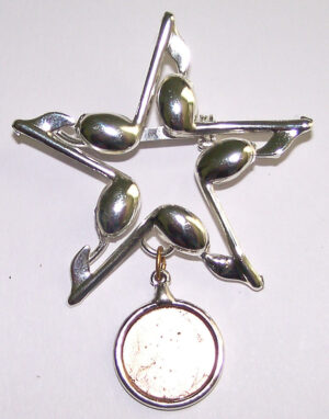 STAR medal pin