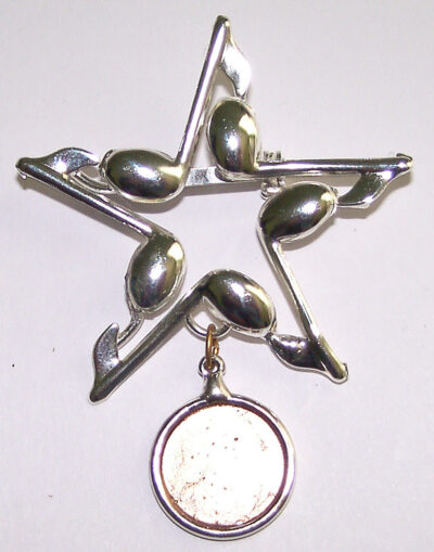 STAR medal pin